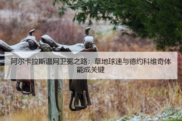 a-er-ka-la-si-wen-wang-wei-mian-zhi-lu-cao-di-qiu-su-yu-de-yue-ke-wei-qi-ti-neng-cheng-guan-jian-2-512.jpg