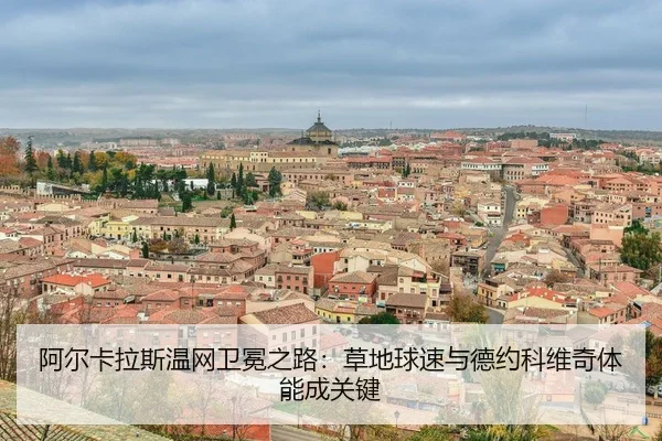 a-er-ka-la-si-wen-wang-wei-mian-zhi-lu-cao-di-qiu-su-yu-de-yue-ke-wei-qi-ti-neng-cheng-guan-jian-3-481.jpg