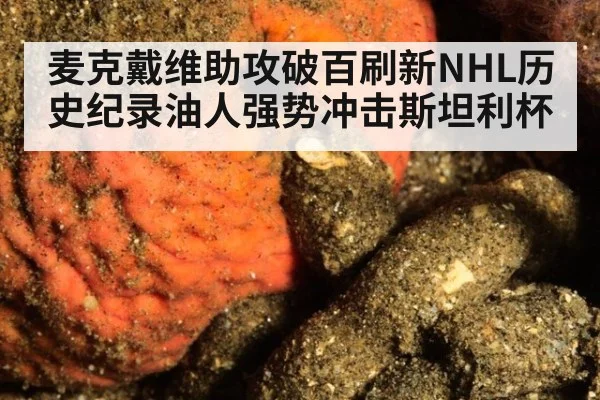 麦克戴维助攻破百刷新NHL历史纪录油人强势冲击斯坦利杯